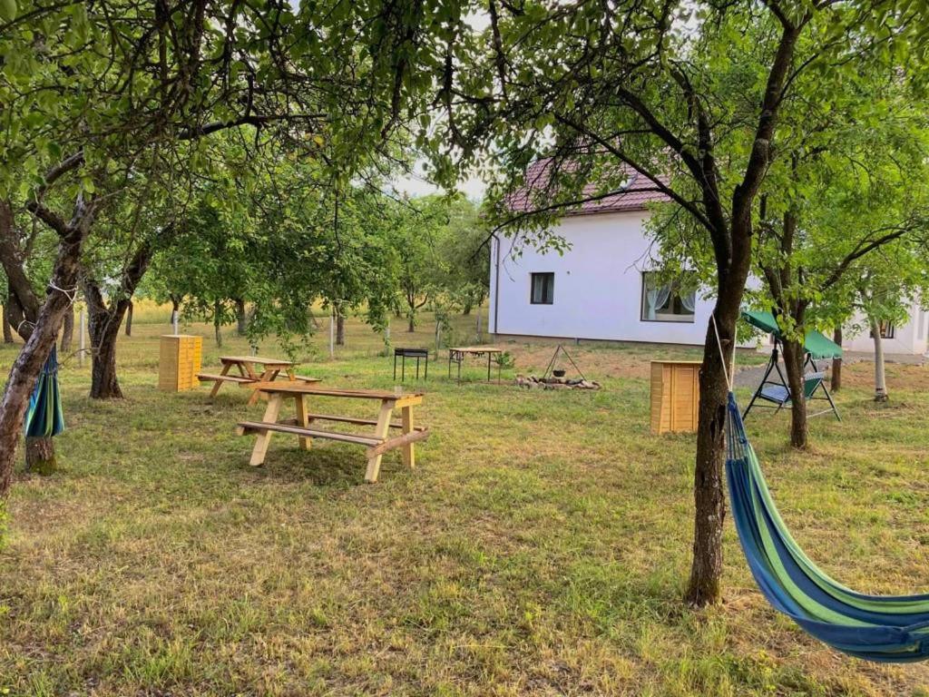 Pensiunea Rnb Maramures Surdesti  Exterior foto